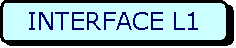 Rectangle  coins arrondis: INTERFACE L1

